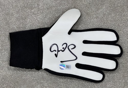 Peter schmeichel hand - hand, signed
