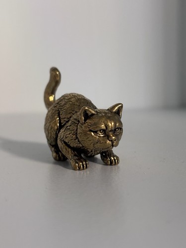 Solid brass cat focused - solid,