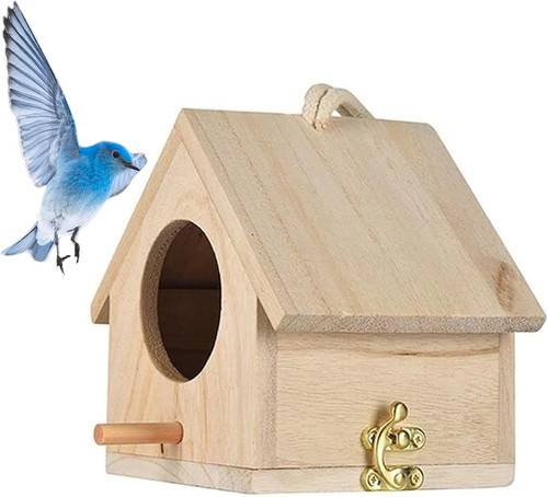 Bird nest parakeet - bird,