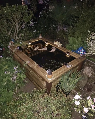 Robow large raised pond - raised,