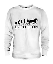 HORSE AND CART RACING EVOLUTION OF MAN UNISEX SWEATER MENS WOMENS LADIES GIFT
