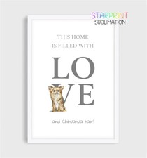 Chihuahua "This Home"