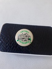 Arundel Catherdral Sussex Vintage Badge 