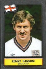 PANINI FOOTBALL SUPERSTARS