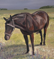 Horse Original Oil Painting
