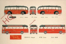 Picture Postcard; BUSES