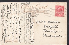 Family History Genealogy