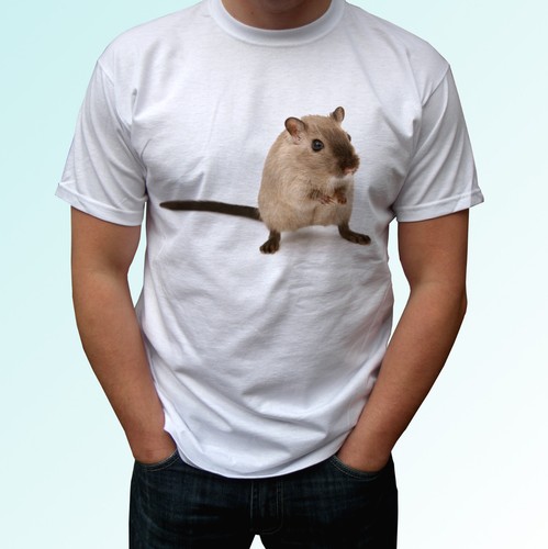 Gerbil white shirt animal - white,