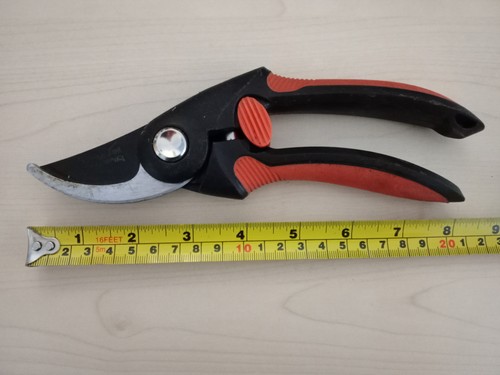 Secateurs wilkinson sword
