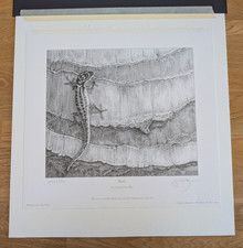 Gary Hodges Limited Edition