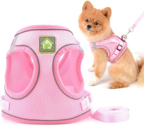 Smalllee lucky store soft - smalllee_lucky_store,
