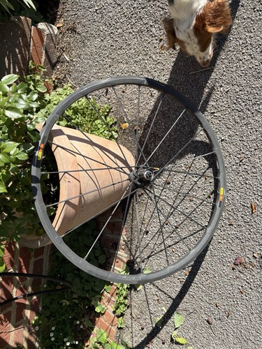Mavic sys rear bike - r-sys,