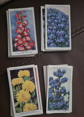 Garden flowers cigarette - garden,