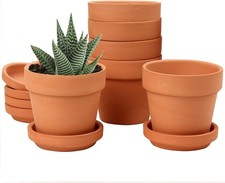 Oairse 6PCS Terracotta Plant