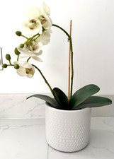 ARTIFICIAL ORCHID PLANT 36cm IN CERAMIC POT WHITE LEAF 2 STEM FAUX PHALAENOPSIS