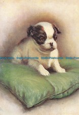 R163711 The Japanese Spaniel
