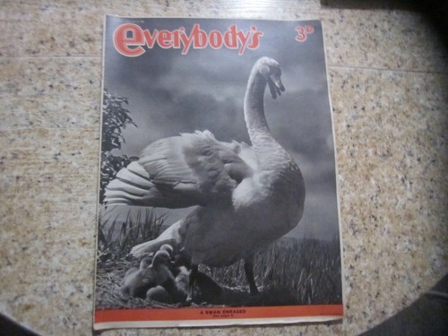 June 19th 1948 everybody s - june, everybody's