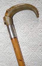 Antique Malacca Walking Stick