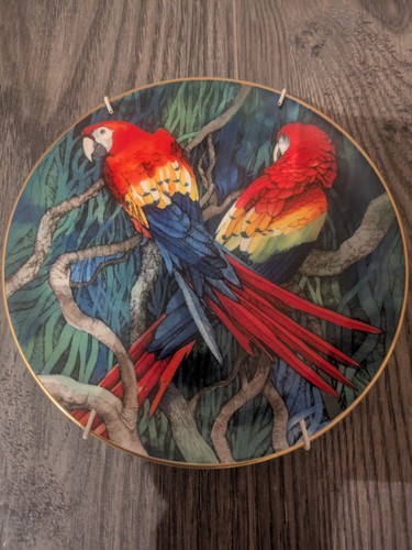 Wedgwood the scarlet macaw - wedgwood,