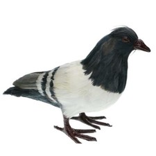 Artificial Feather Gray Pigeon