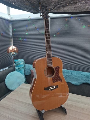 Tanglewood tw15r dreadnought - tanglewood,