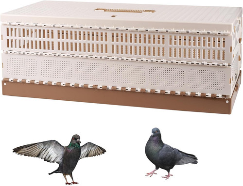 Plastic folding pigeon cage - plastic,