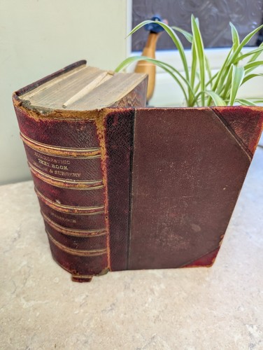 Ruddock text book - book, modern