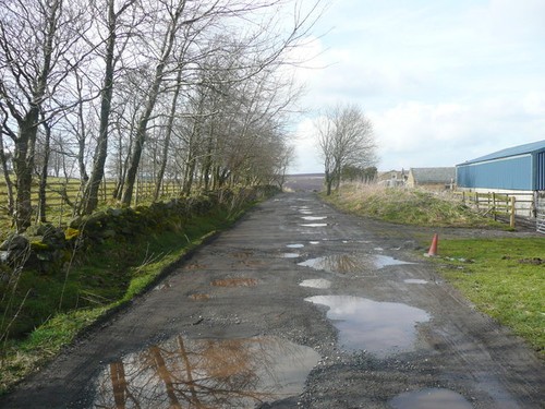Photo 6x4 green - lane, at