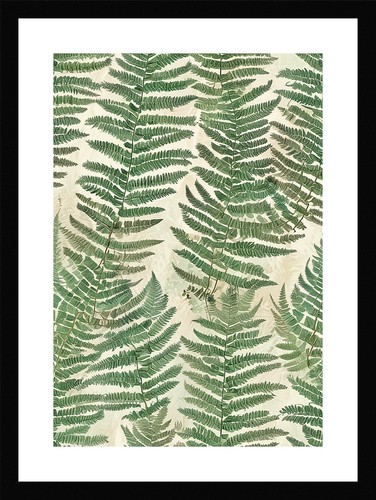 Timeless fern fronds print - fern,