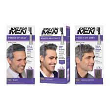 Just For Men Touch Of Grey Hair Dye For a Natural Salt & Pepper Look All Shades