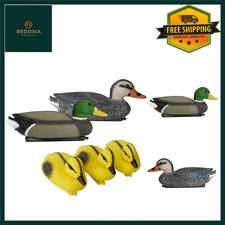 Realistic Floating Duck Family