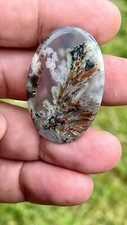 Natural Plume Agate Cabochon
