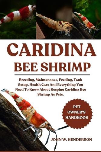 Caridina bee shrimp breeding - caridina, shrimp: