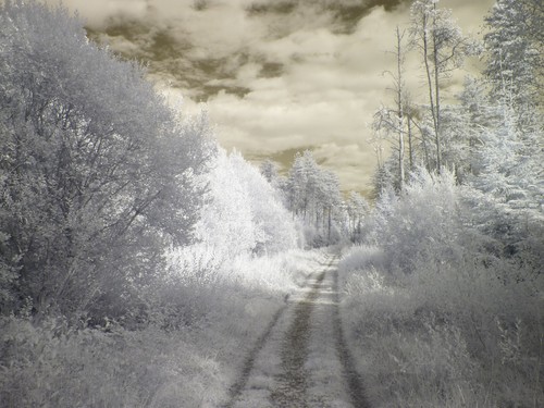 Infrared converted camera - ,