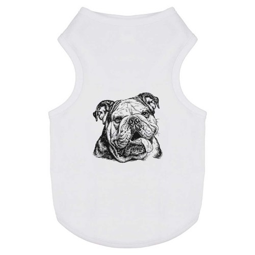 English bulldog portrait pet - 'english,