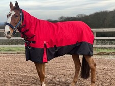 TURNER EQUESTRIAN Combo