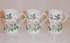Crown Trent Mugs Bone China