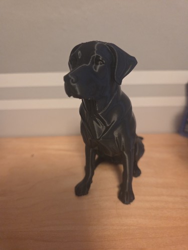 Black labrador figure approx - figure,