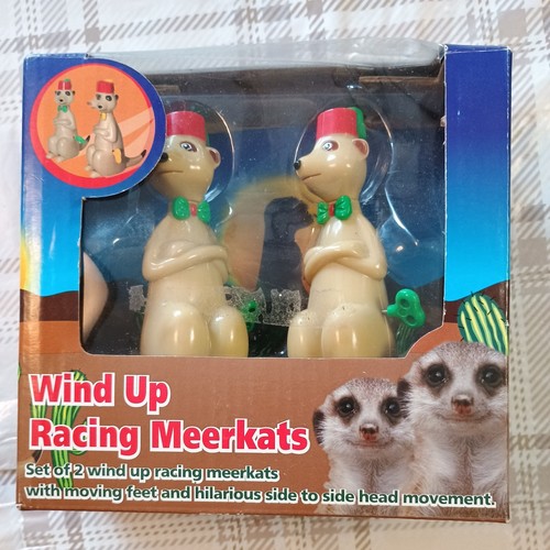Wind racing meerkats - up,