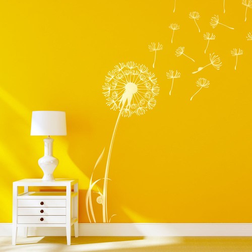 Flower dandelion wall - flower,