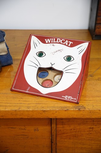 Vintage halloween cat - halloween,