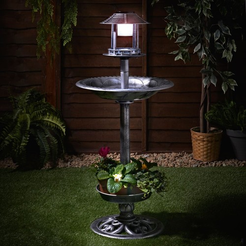 Bird bath with - bird,