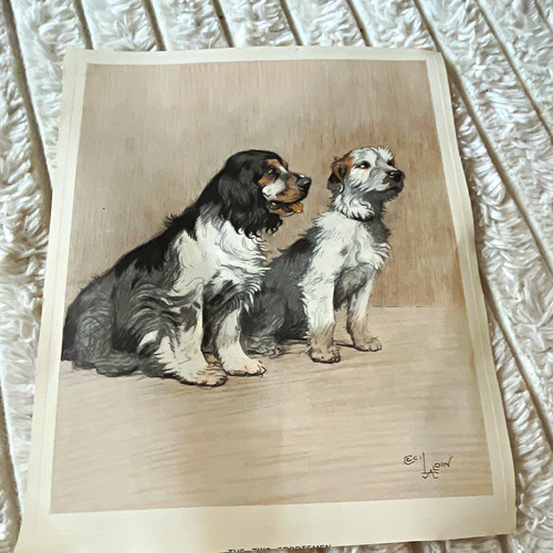 Cecil aldin signed dog - aldin,