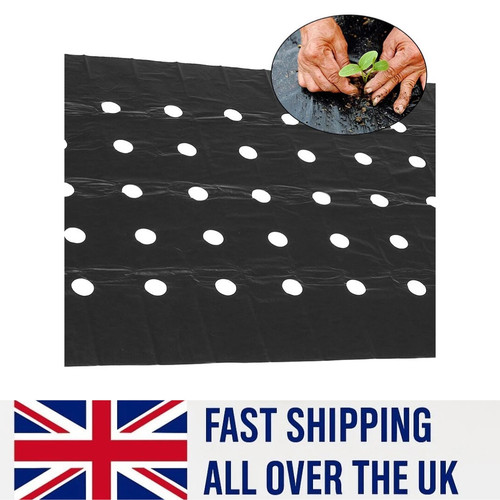 Weed control fabric ground - weed,