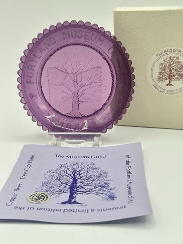 Copper beech tree - beech,