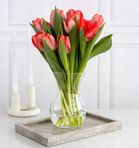 Clear glass vase 18cm - 18cm, –