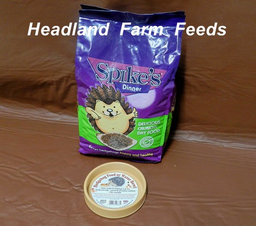 Spikes hedgehog food crunchy - spikes,