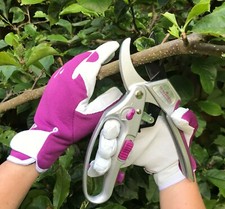 Ladies Advanced 2-in-1 Ratchet