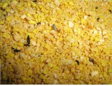 PREMIUM EGG REARING FOOD DRY FOR CAGE BIRDS CANARIES FINCHES BUDGIES  ETC 1KG