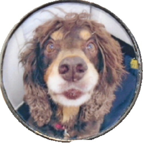 Golf ball marker personalised - ball,